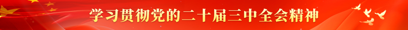 学习贯彻党的二十届三中全会精神